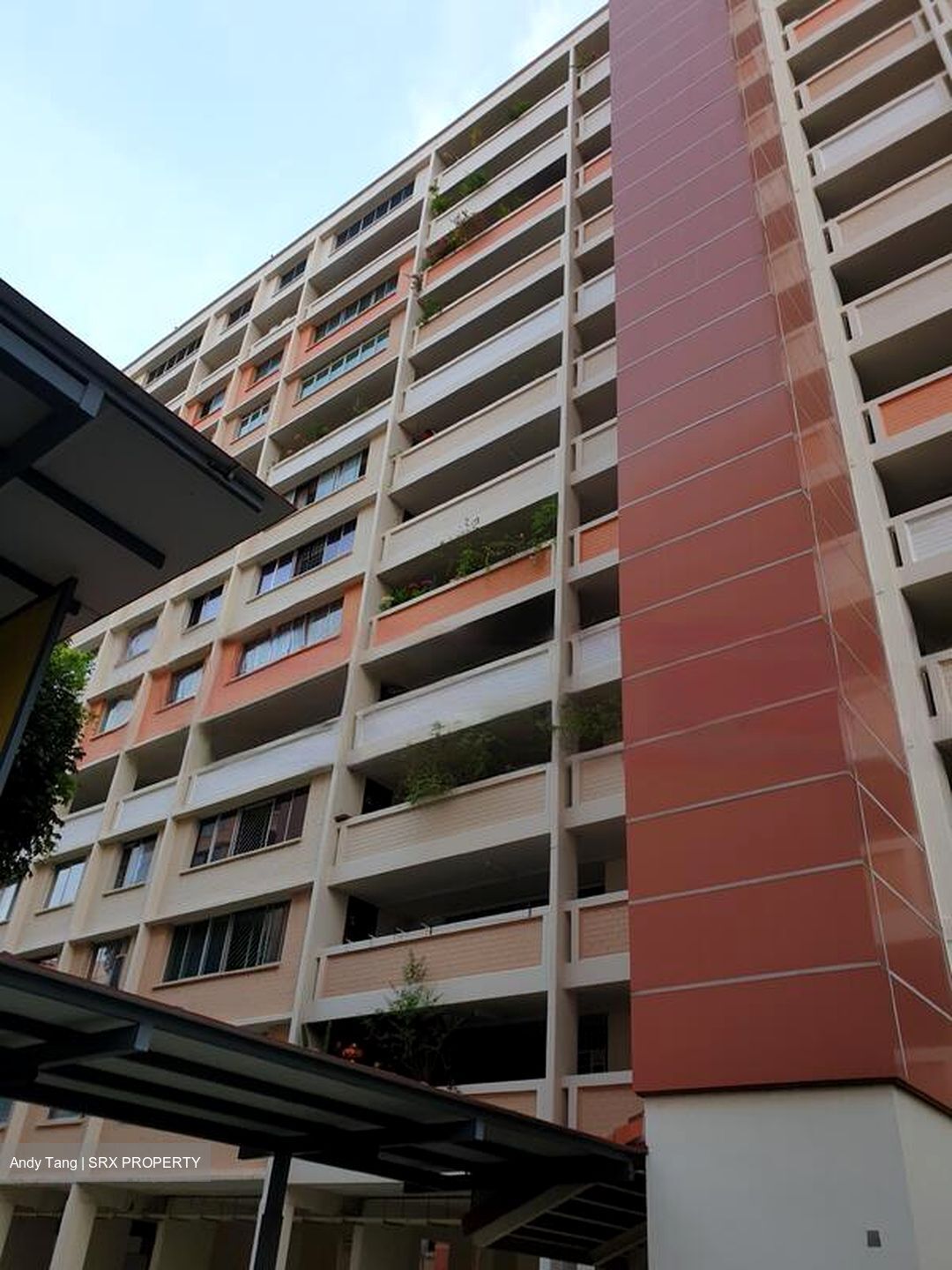 Blk 374 Clementi Avenue 4 (Clementi), HDB 4 Rooms #460857021